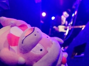 開催レポート写真