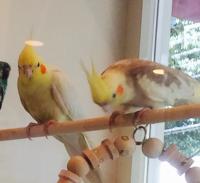 あー