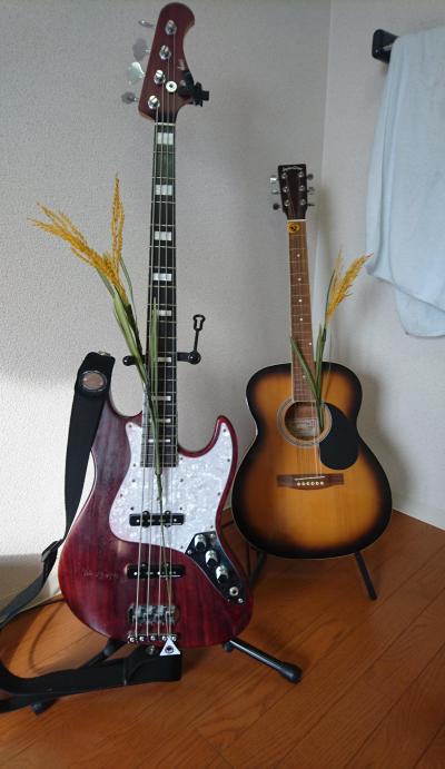 カラス
