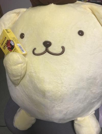 タカ